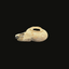 Herodian Oil Lamp | Time of Jesus Artifact 1st Century AD