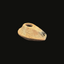 Samaritan Oil Lamp | Time of Early Christianity Roman Period Artifact 200 AD