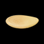 Roman Plate | Time of Jesus Artifact 1st Century AD - Similar to Those Used at the Last Supper