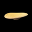 Roman Plate | Time of Jesus Artifact 1st Century AD - Similar to Those Used at the Last Supper