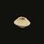 Byzantine Oil Lamp | Early Christian Period Artifact 4th–7th Century AD