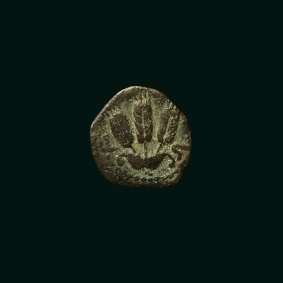 りゅう　HG HGD HJ UM　CP Herod Agrippa I Bronze Prutah Coin | 37–41 CE Judean Artifact