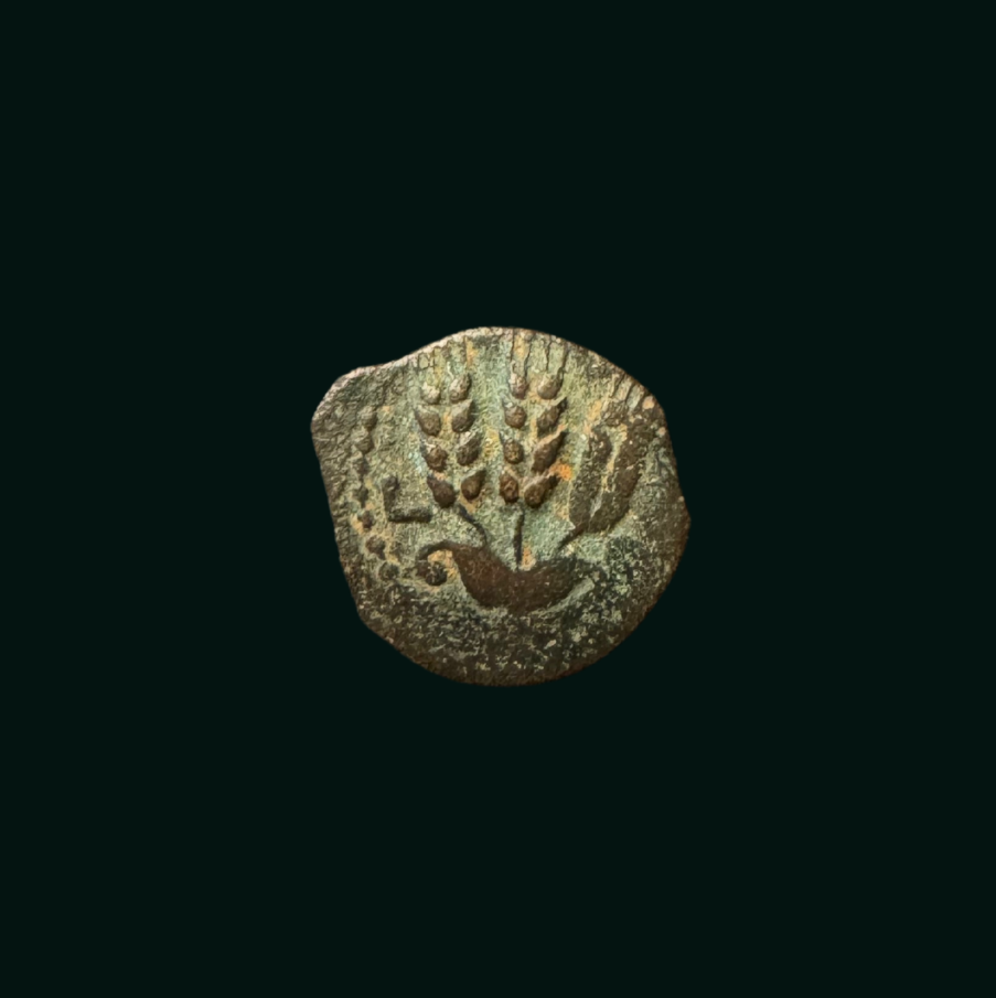 りゅう　HG HGD HJ UM　CP Herod Agrippa I Bronze Prutah Coin | 37–41 CE Judean Artifact