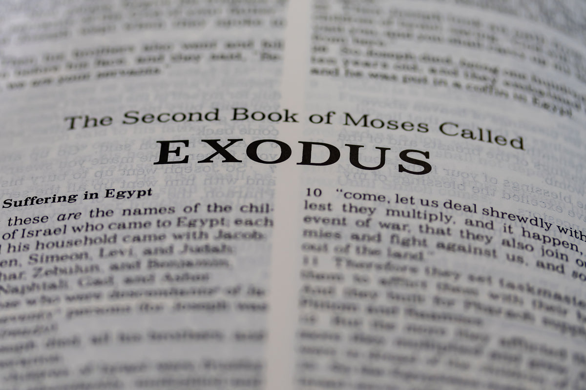 The Book of Exodus: Summary, Themes, and Lessons – Ancient Levant