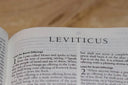 The Book of Leviticus: Laws for Worship, Sacrifices, and Purity