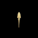 Roman Bronze Spear or Javelin Head | Time of Jesus | 1st Century AD
