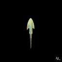 Roman Barbed Bronze Arrowhead with Tang | Auxiliary Archers | Time of Jesus Artifact (1st Century AD)