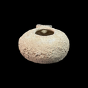 Herodian Oil Lamp | Time of Jesus Artifact | 1st Century BC–1st Century AD