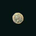 Pontius Pilate Bronze Prutah Coin | Roman Period Artifact 26–36 AD
