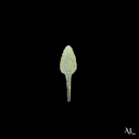 Roman Bronze Leaf-Shaped Arrowhead | Auxiliary Archers | Time of Jesus Artifact (1st Century AD)