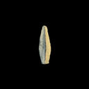 Roman Trilobate Bronze Arrowhead | Auxiliary Archers | Time of Jesus Artifact (1st Century AD)
