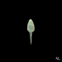 Roman Bronze Leaf-Shaped Arrowhead | Auxiliary Archers | Time of Jesus Artifact (1st Century AD)