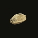 Roman Period Samaritan Oil Lamp | Time of Early Christianity Artifact 200 AD