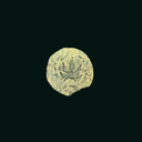 First Jewish Revolt Bronze Prutah “Freedom of Israel” | Masada Mint | 66–73 AD