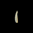 Roman Trilobate Bronze Arrowhead | Auxiliary Archers | Time of Jesus Artifact (1st Century AD)