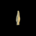 Roman Trilobate Bronze Arrowhead | Auxiliary Archers | Time of Jesus Artifact (1st Century AD)