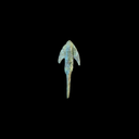 Roman Bronze Arrowhead | 1st Century AD | Time of Jesus