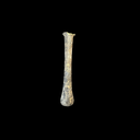 Roman Glass Tear Bottle from Jerusalem | Time of Jesus | 1st Century AD