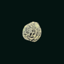 Pontius Pilate Bronze Prutah Coin | Roman Period Artifact 26–36 AD