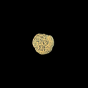 Pontius Pilate Bronze Prutah Coin | Roman Period Artifact 26–36 AD