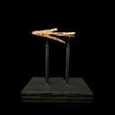 Roman Auxiliary Infantry Barbed Iron Throwing Javelin Head (Verutum-Type) | Time of Jesus Artifact 1st Century AD