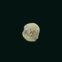Pontius Pilate Bronze Prutah Coin | Roman Period Artifact 26–36 AD