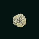 First Jewish Revolt Bronze Prutah “Freedom of Israel” | Masada Mint | 66–73 AD