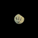 Herod Agrippa I Bronze Prutah Coin | 37–41 CE Judean Artifact