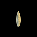 Roman Trilobate Bronze Arrowhead | Auxiliary Archers | Time of Jesus Artifact (1st Century AD)