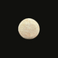 Herodian Oil Bottle | Late Second Temple Period Artifact 37 BC–70 AD